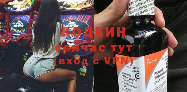 дмт Вяземский