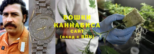 дмт Вяземский
