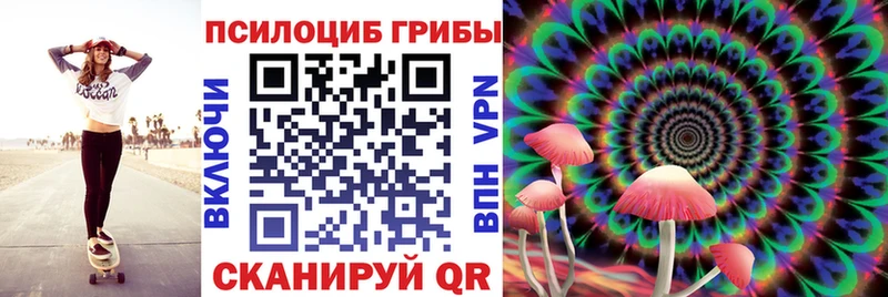 Псилоцибиновые грибы MAGIC MUSHROOMS  наркотики  Рыбинск 